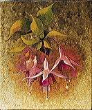 cd06-008-fleurs_de_fuchsia