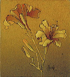 cd06-037-fleurs_d_h_18cfccd